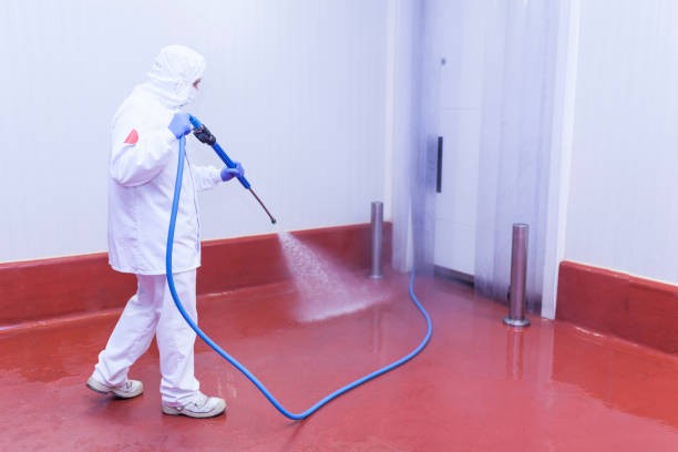 Best Graffiti Removal  in Ocala Estates, FL